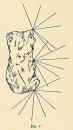 fig_7.JPG (74899 byte)