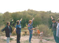 senis1.jpg (40517 byte)
