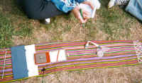 senis3.jpg (82306 byte)