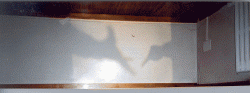 ombra17.gif (232121 byte)