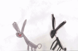quattro.gif (218464 byte)