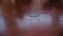 corda1.jpg (36042 byte)