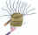 campana5.jpg (5508 byte)