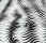 movimento_ondulatorio.jpg (20448 byte)