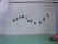 oscillatore Ale_2.jpg (8716 byte)